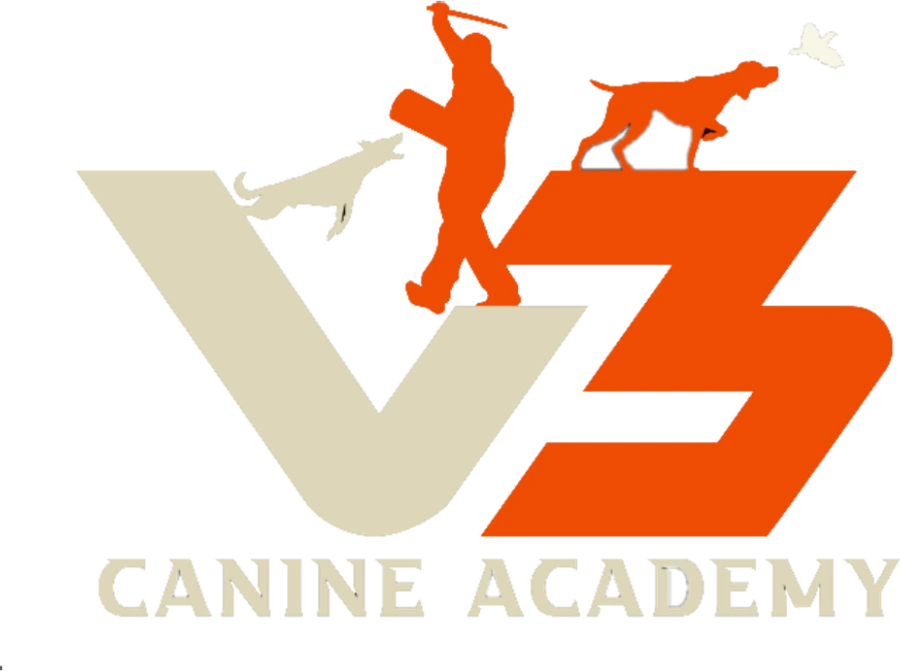 V3 Canine Academy